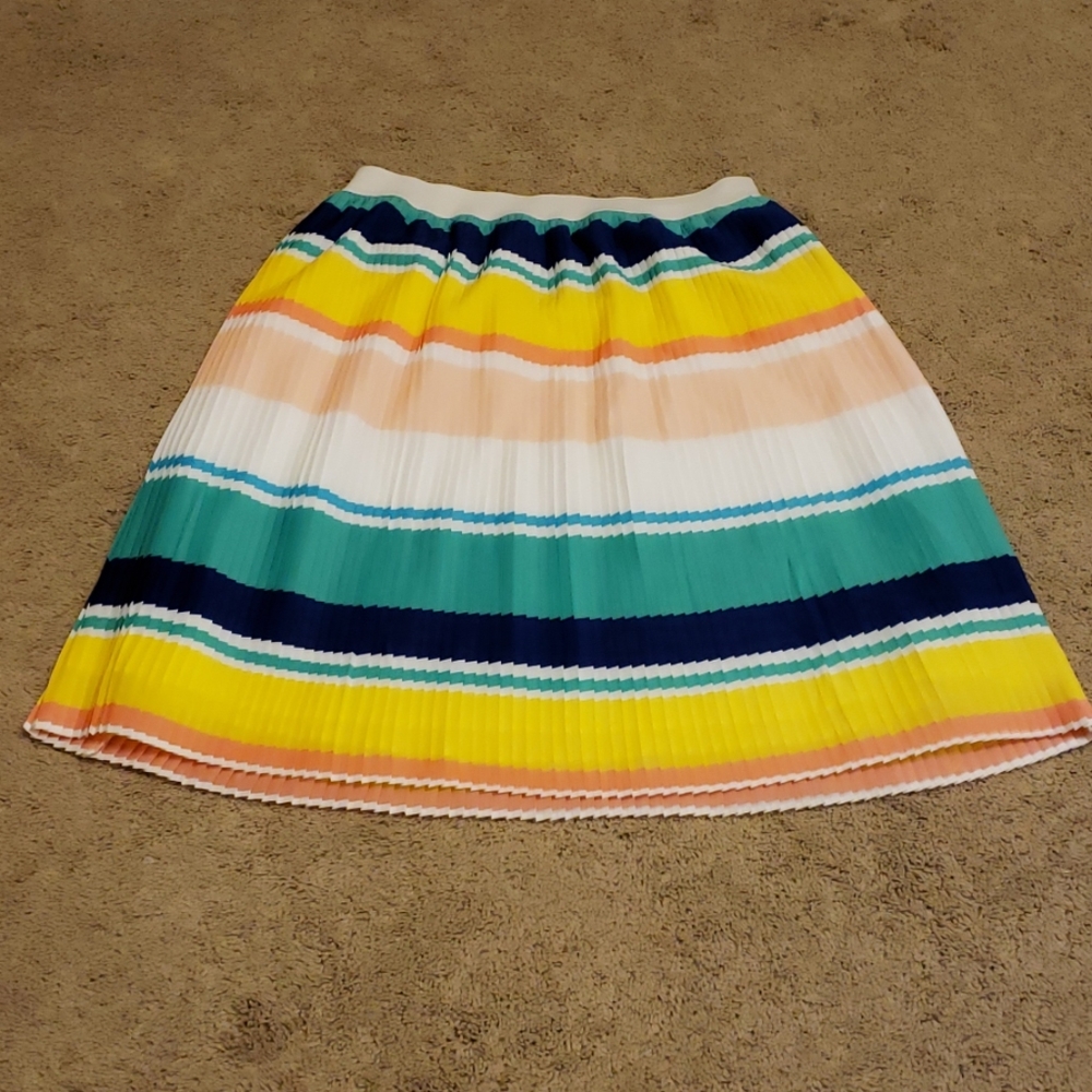 NWOT pleated skirt